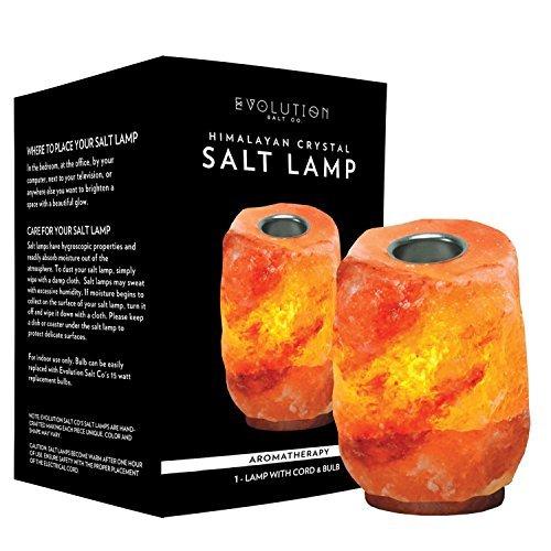 Evolution Salt - Aromatherapy Crystal Salt Himalayan Lamp