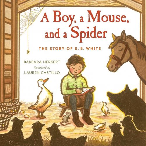 A Boy, a Mouse, and a Spider by Barbara Herkert