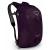 NEW Osprey Packs Daylite Travel Amulet Purple Daypack - 10002198