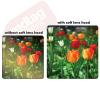 58MM Tulip & Collapsible Rubber Lens Hood for Canon Rebel T5i T4i T3i T3 T2i SL1