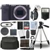 Sony Alpha a6600 Mirrorless 24.2MP 4K Digital Camera Body + 32GB Bundle