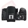 Canon EOS Rebel SL3 24.1MP 4K Digital SLR Camera Body