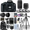 Canon EOS 3000D / Rebel T100 DSLR Camera + 18-55mm + 70-300mm + 30 Piece Bundle