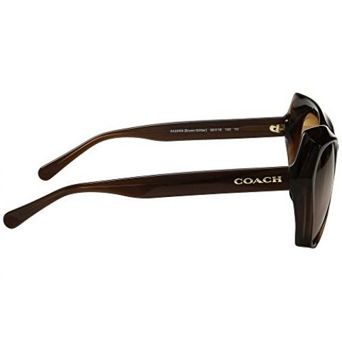 COACH 0HC8193 sunglasses